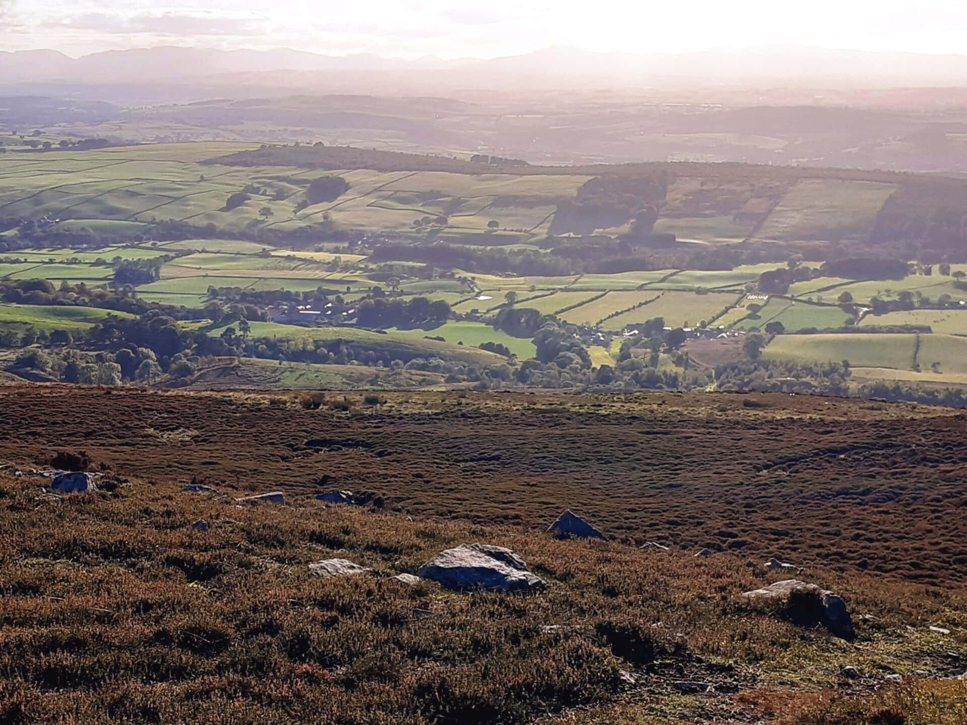 Traces Of Belligerent Nations