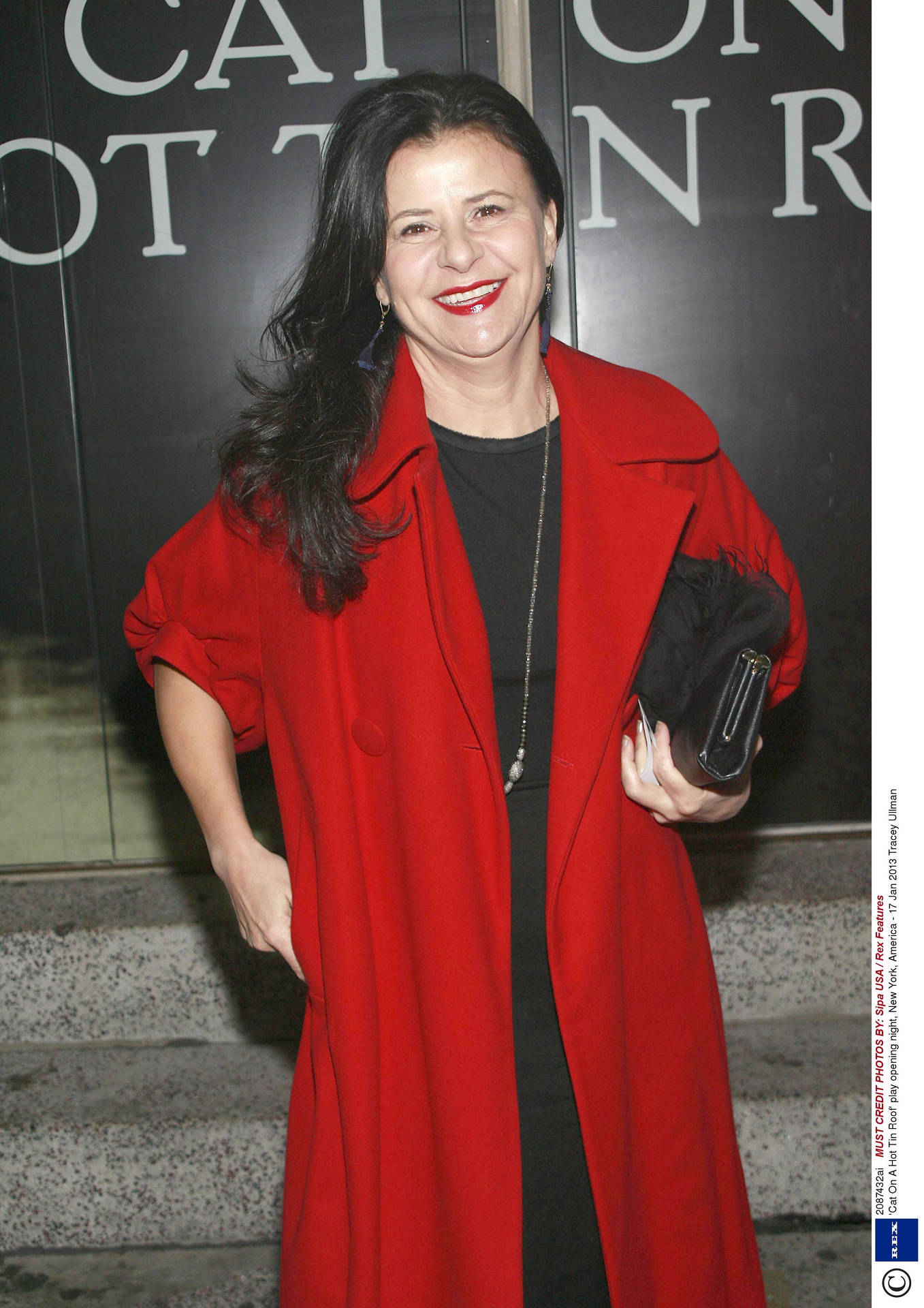 Tracey Ullman Gracing The Red Carpet In A Stylish Ensemble Background