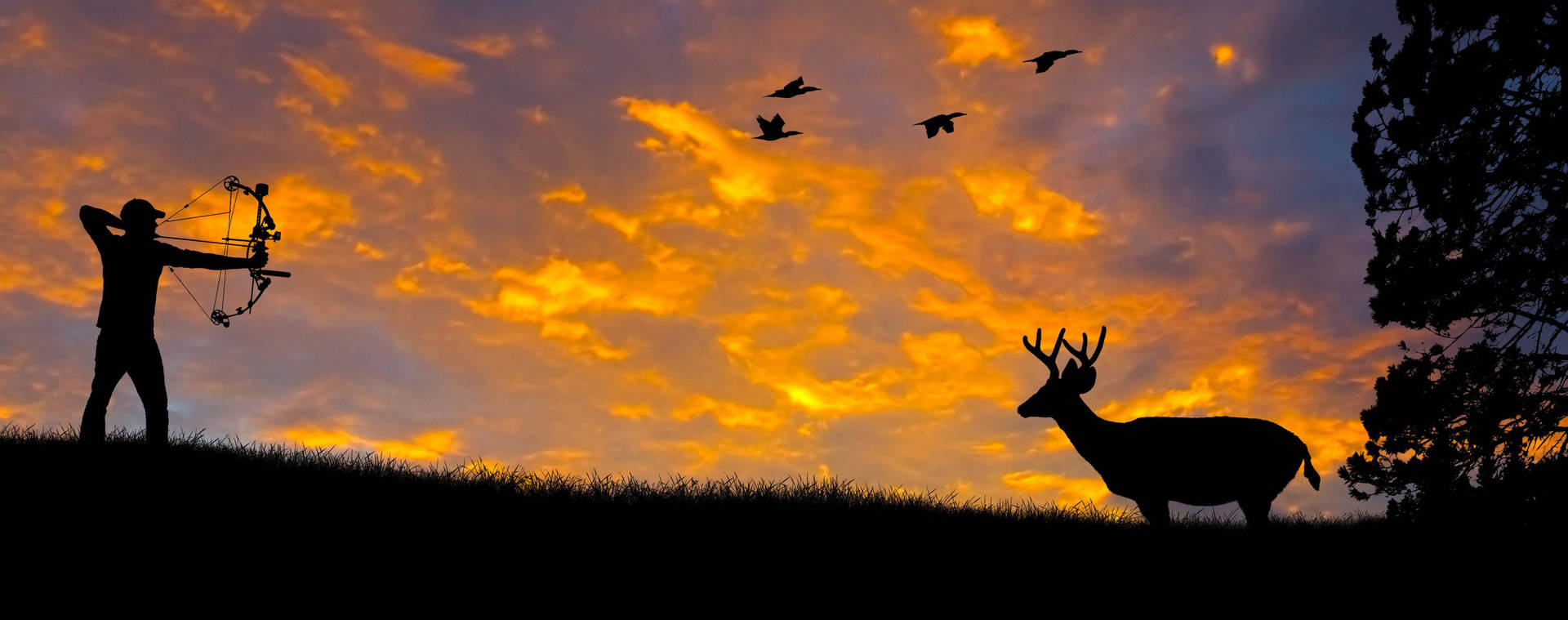 Tracking Down The Trophy Elk At Sunset Background