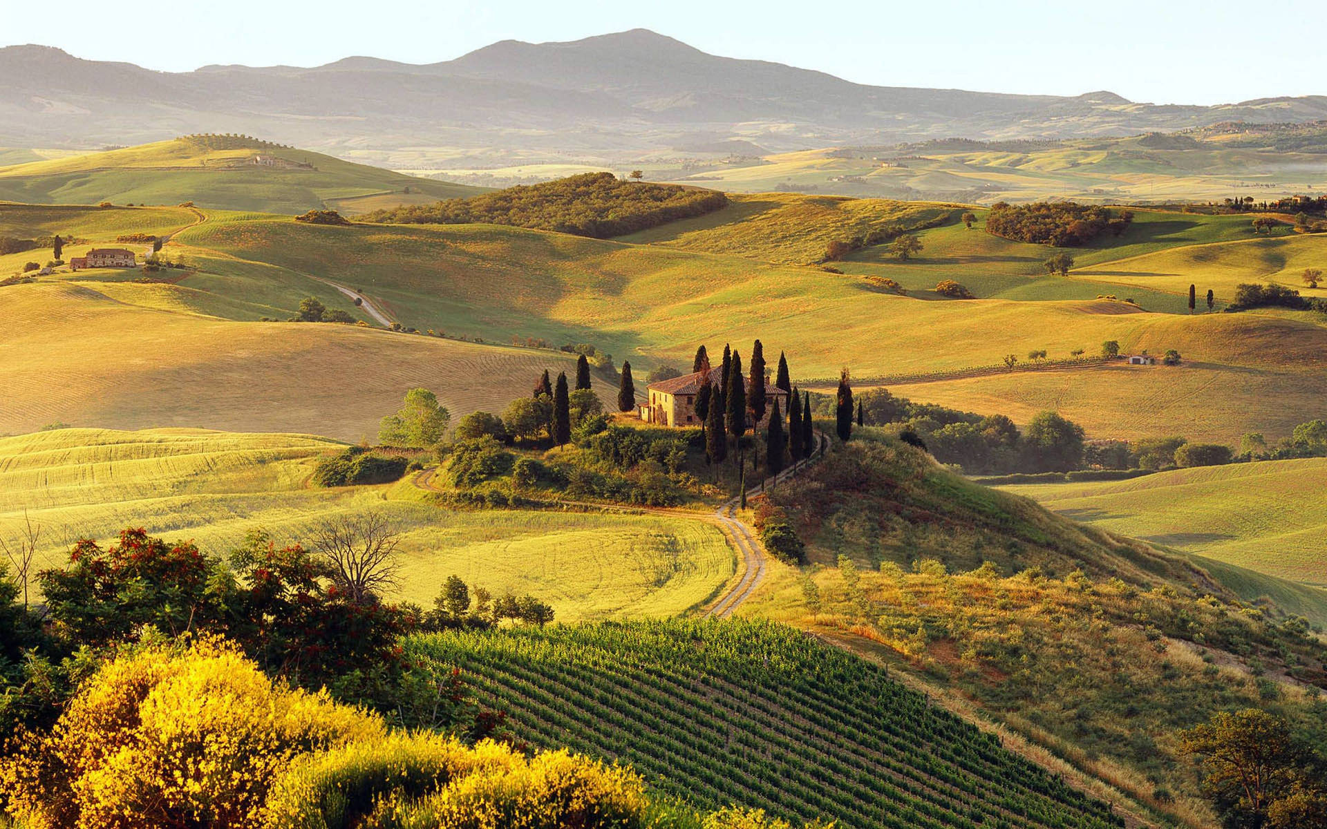 Traditional House On Hilly Tuscany Background