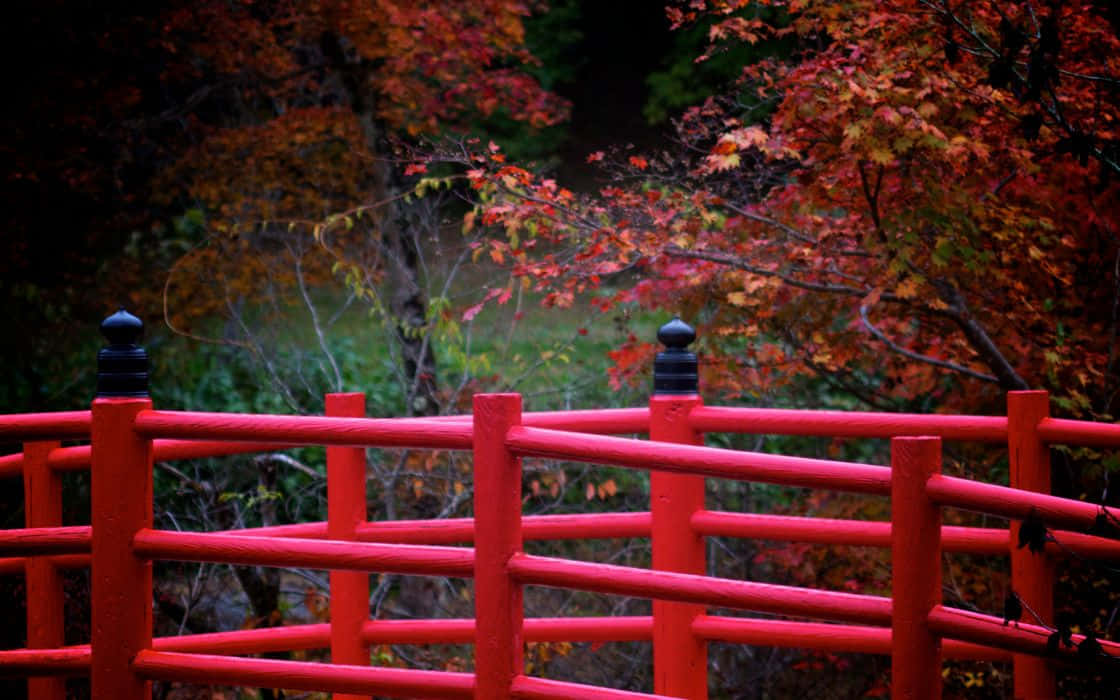 Traditional Japanese Styles In A Red Hue Background