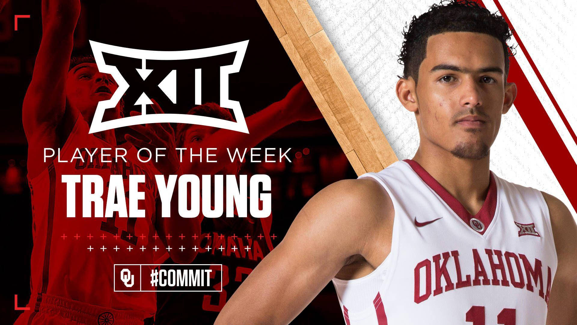 Trae Young Oklahoma Player Background