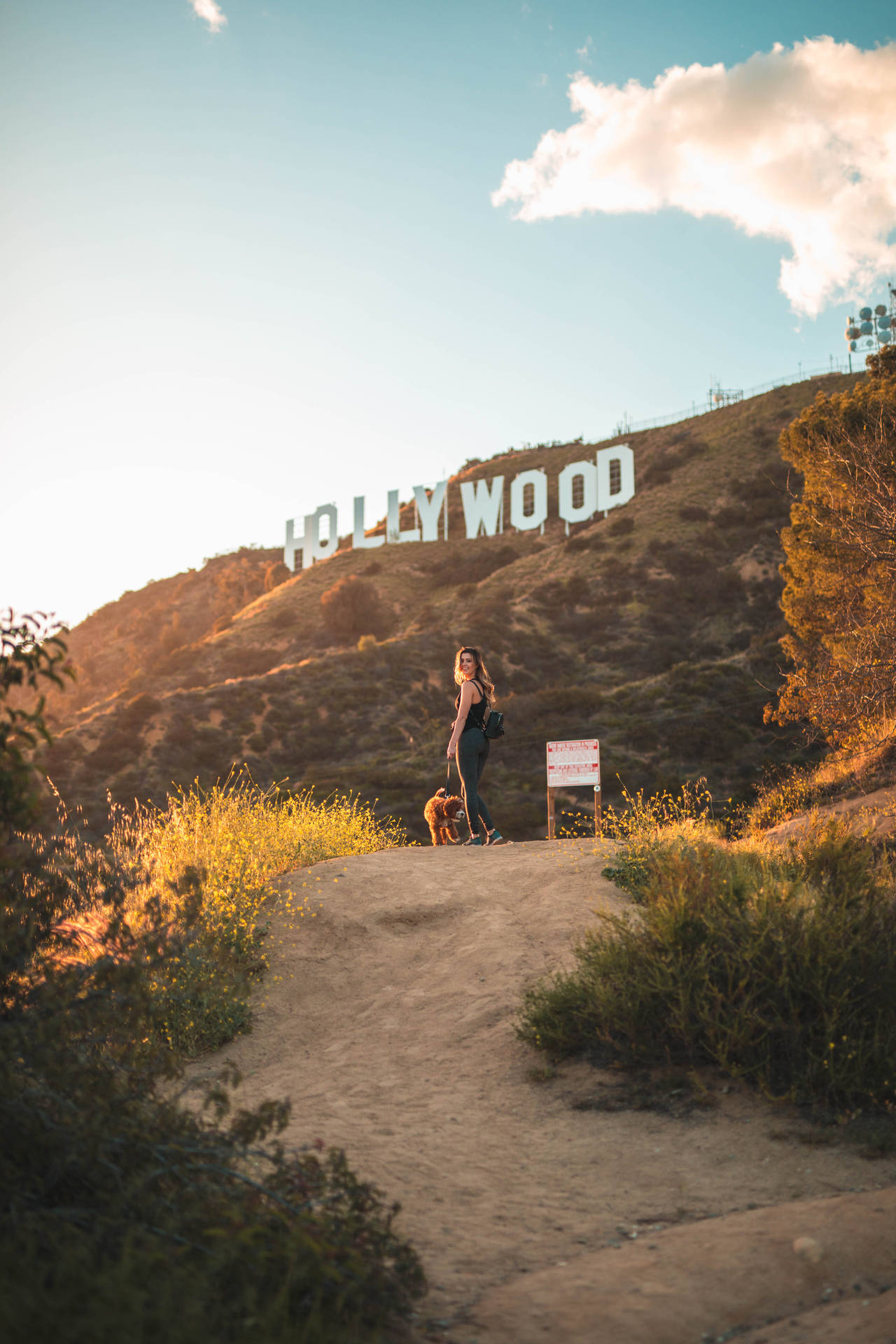 Trail Hollywood Los Angeles Background