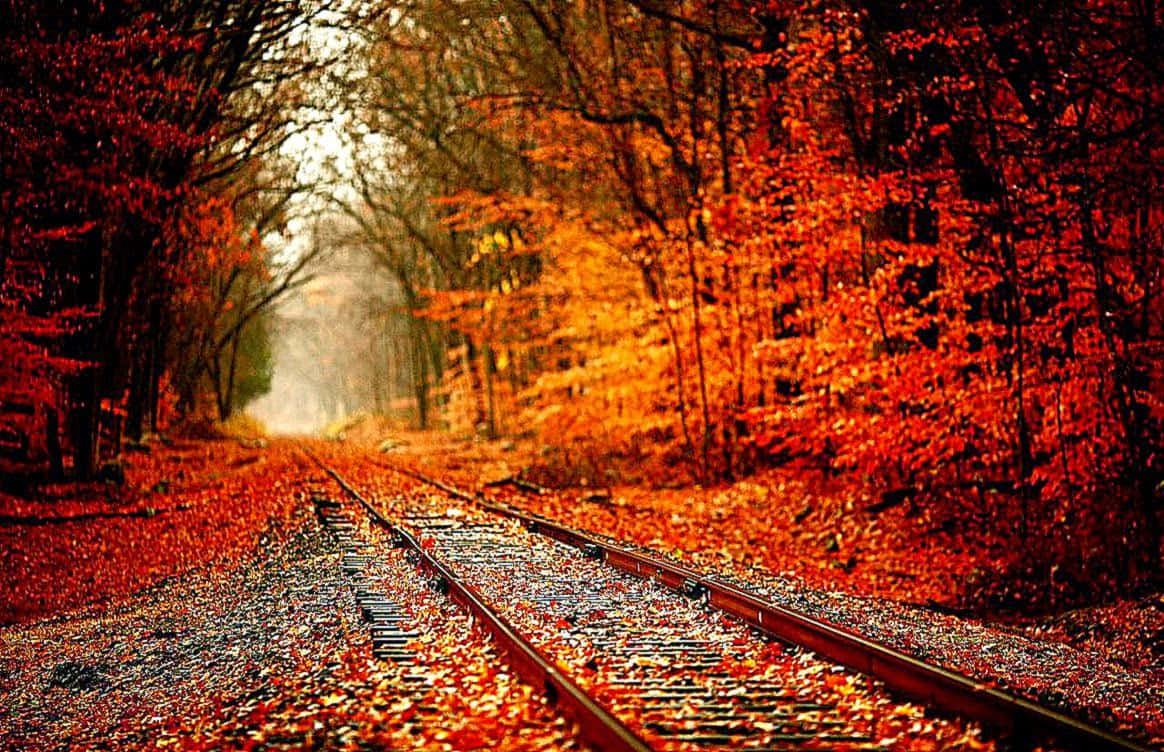 Train Track Fall Tumblr Background