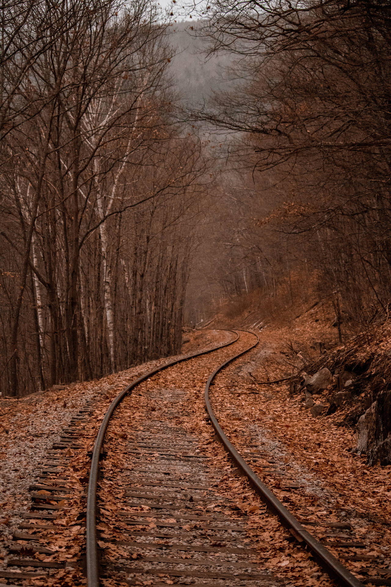 Train Track In Autumn Background