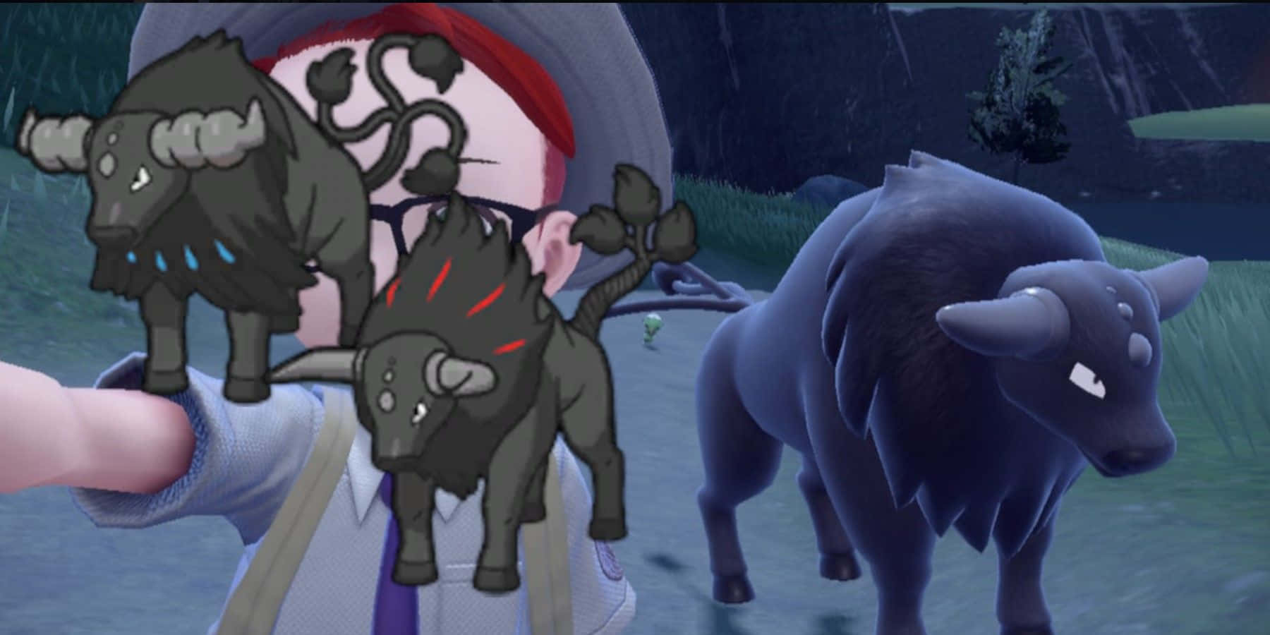 Trainer Selfie With Paldean Tauros Background