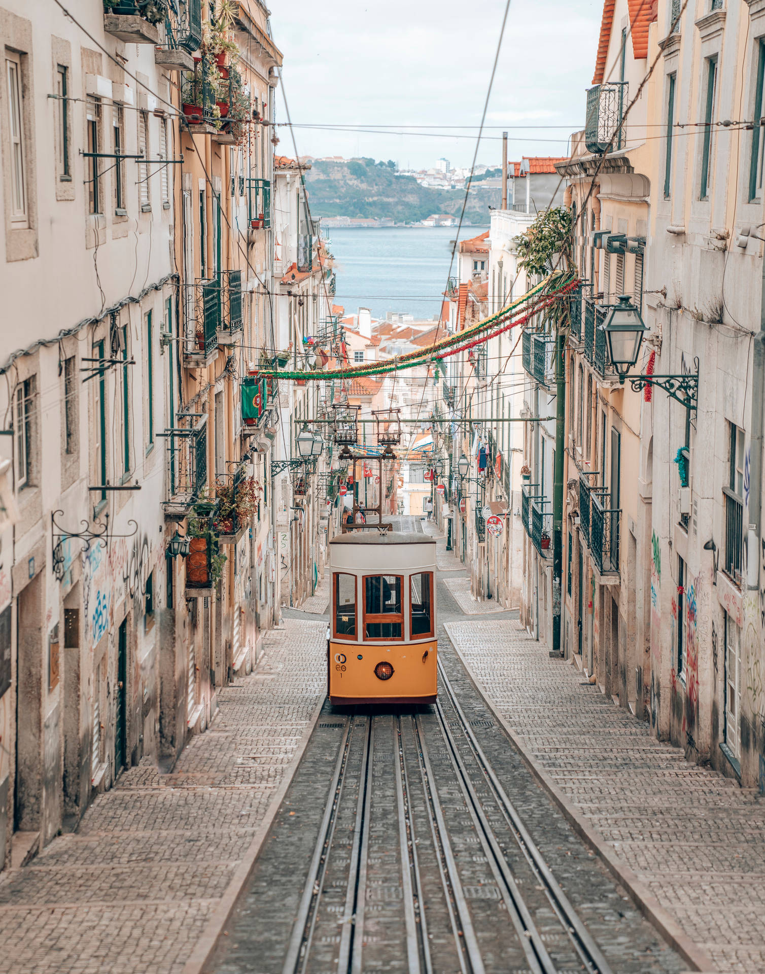 Tram In Lisbom Background