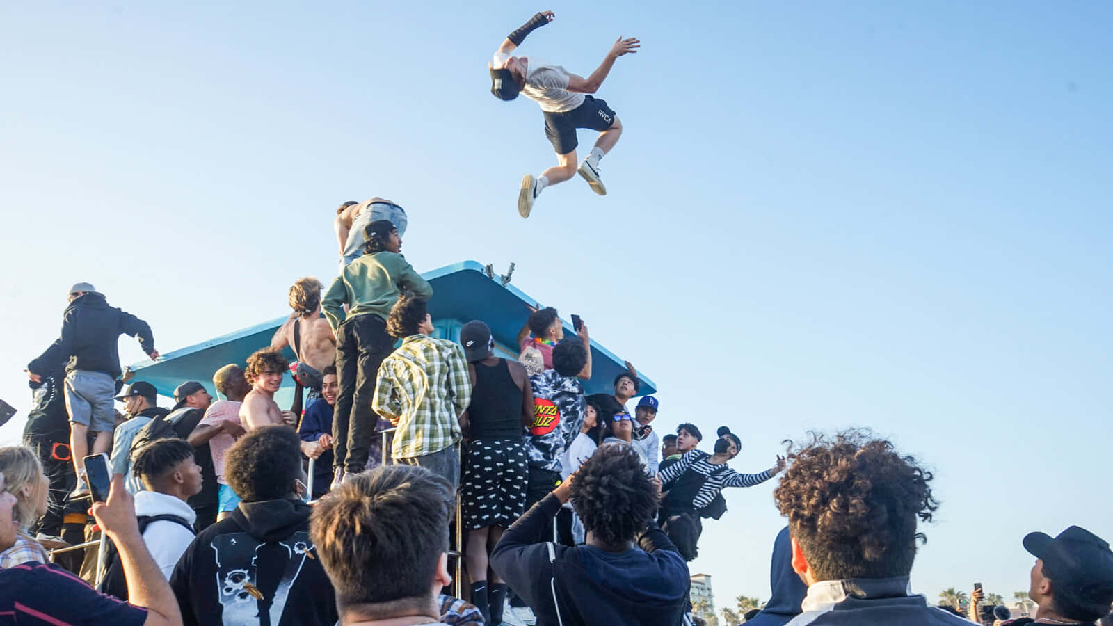 Trampoline Funny Pfp For Tiktok Background