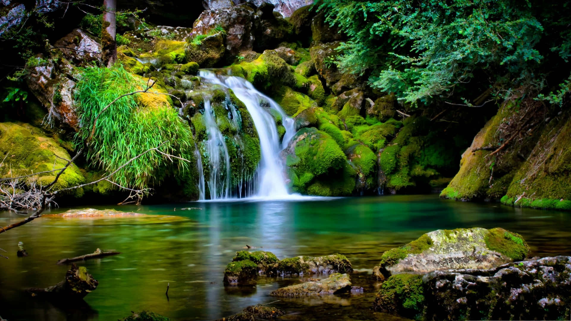 Tranquil Nature Scenery Background