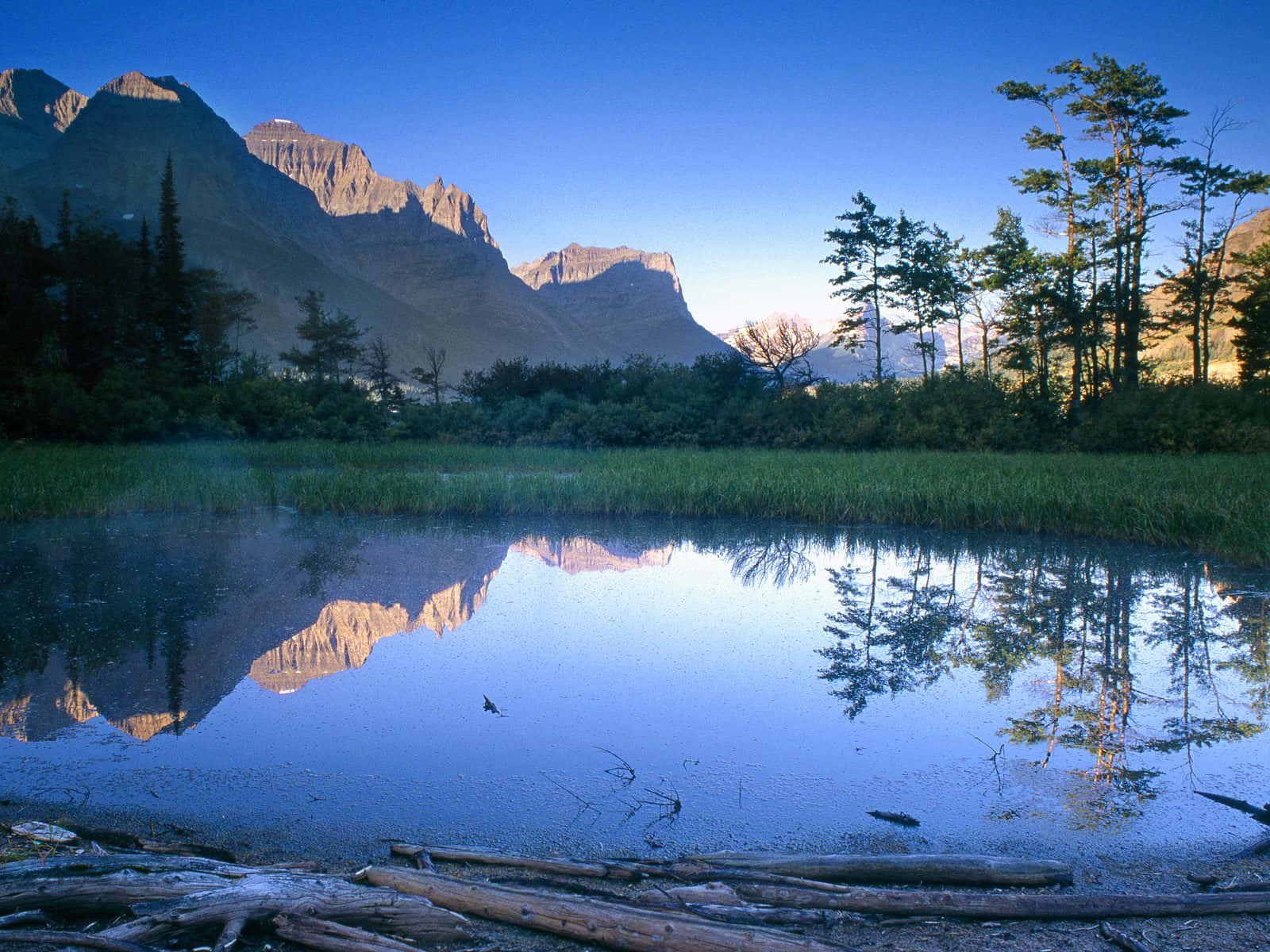 Tranquil Scenery Of Lily Pond Amidst Vibrant Hills Background