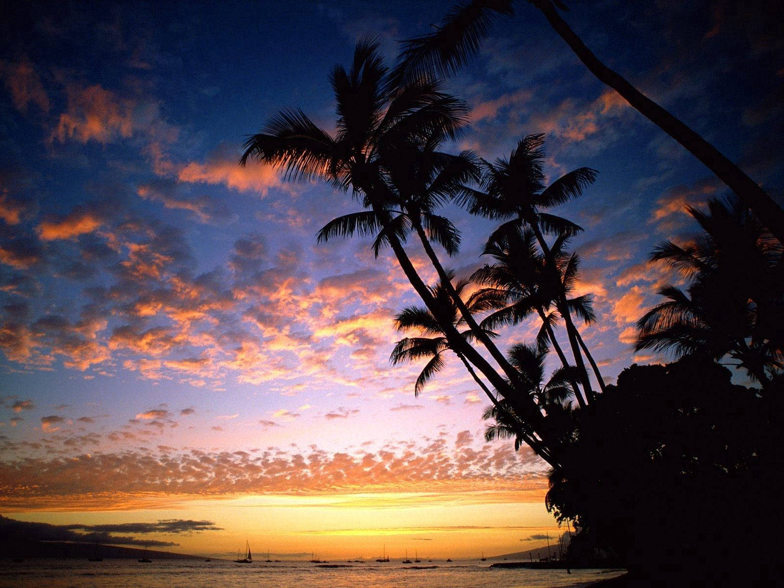 Tranquil Sunset At Hawaii Island Background