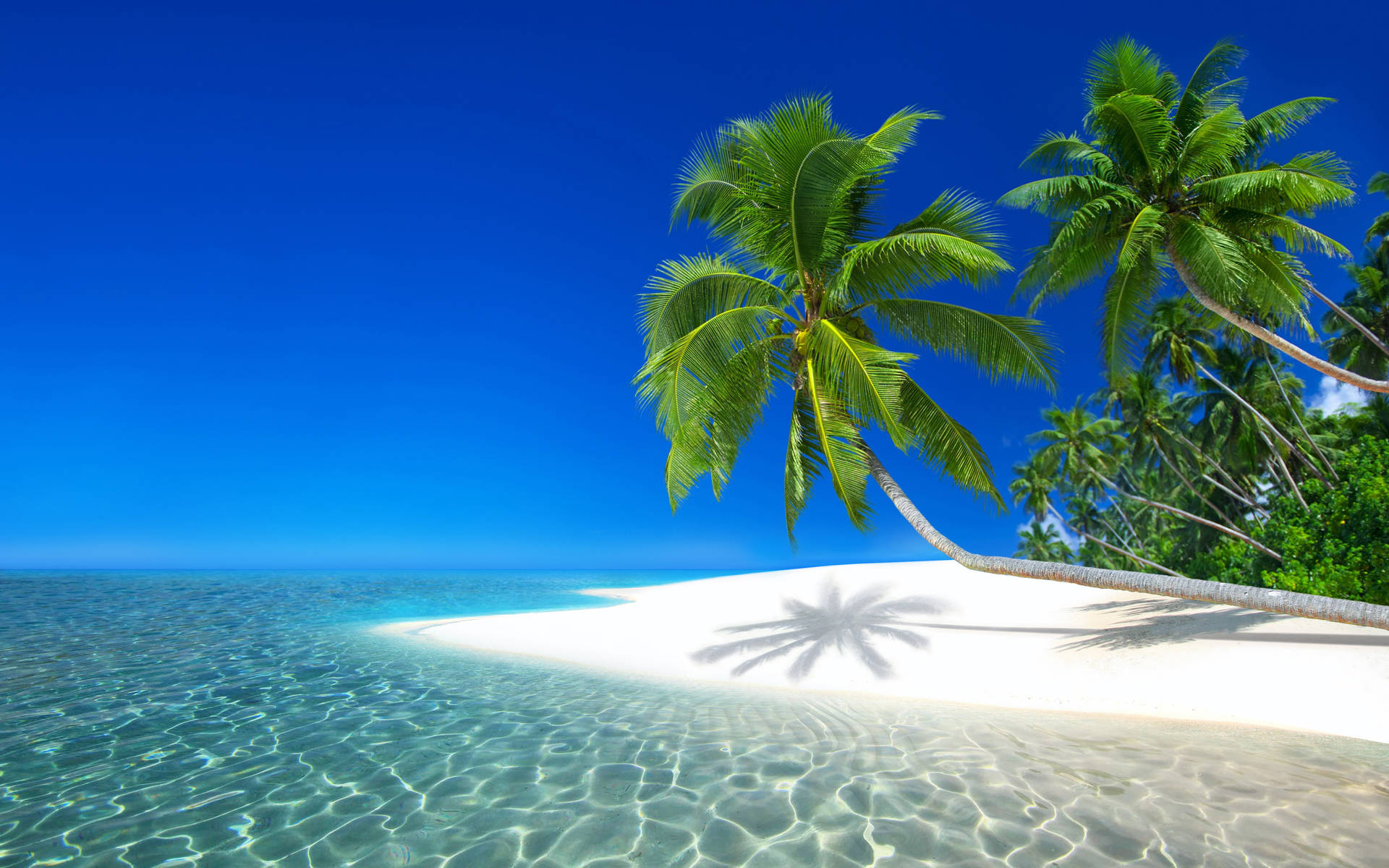 Tranquil Tropical Beach In 4k Uhd Background