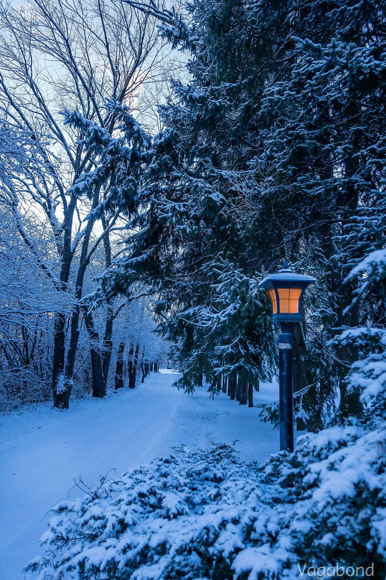 Tranquil Winter Evening In A Snowy Town