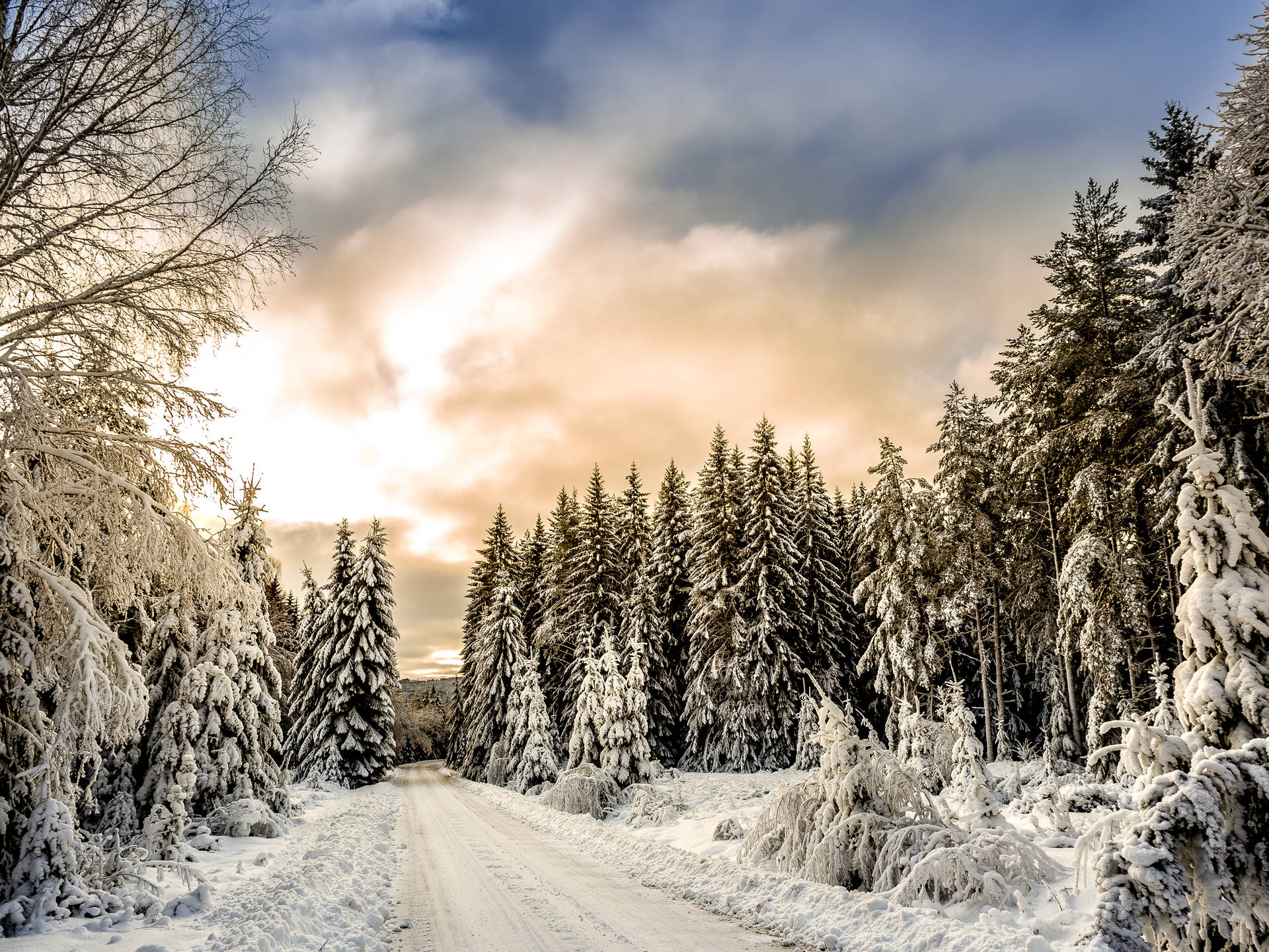 Tranquil Winter Wonderland Background