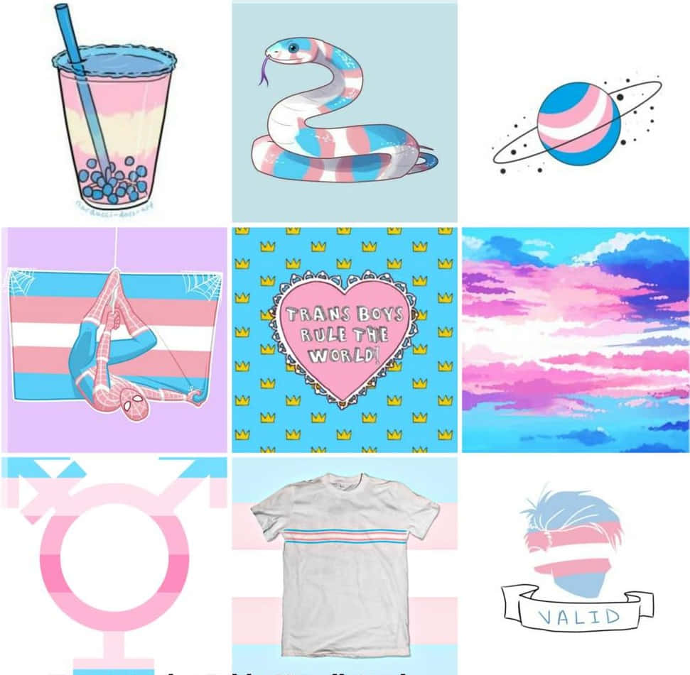 Trans Colors And Symbol College Background