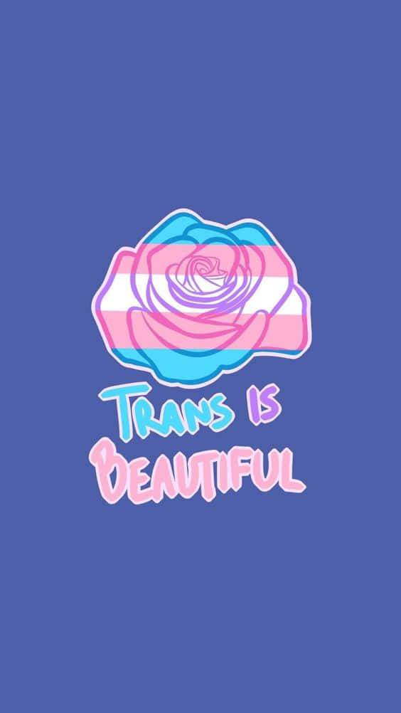 Trans Is Beautiful - Tumblr