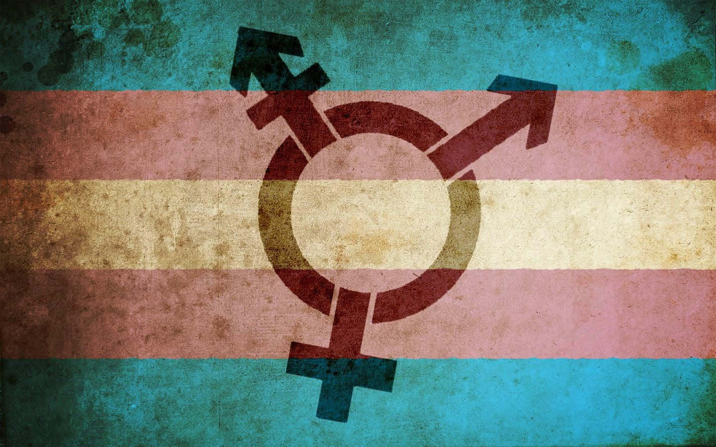 Trans Pride — Showing Solidarity And Celebrating Diversity Background