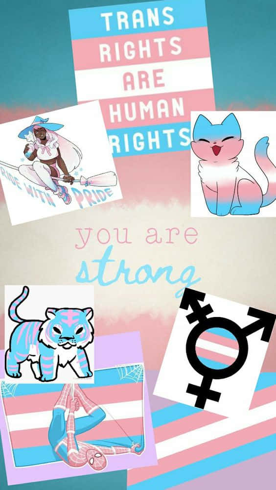 Trans Rights Are Human Rights You Are Straits