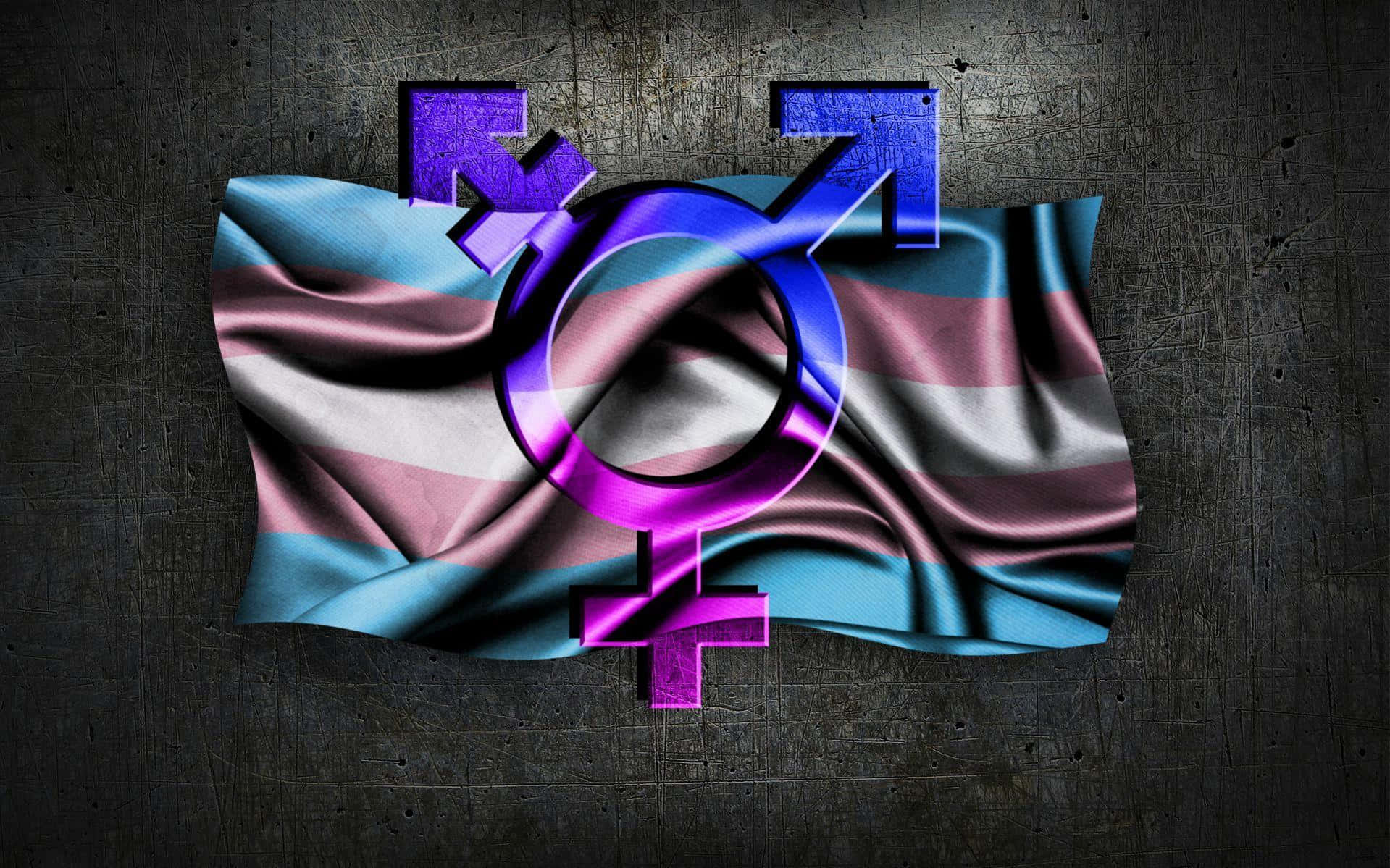 Trans Symbol And Flag In Gray Background Background