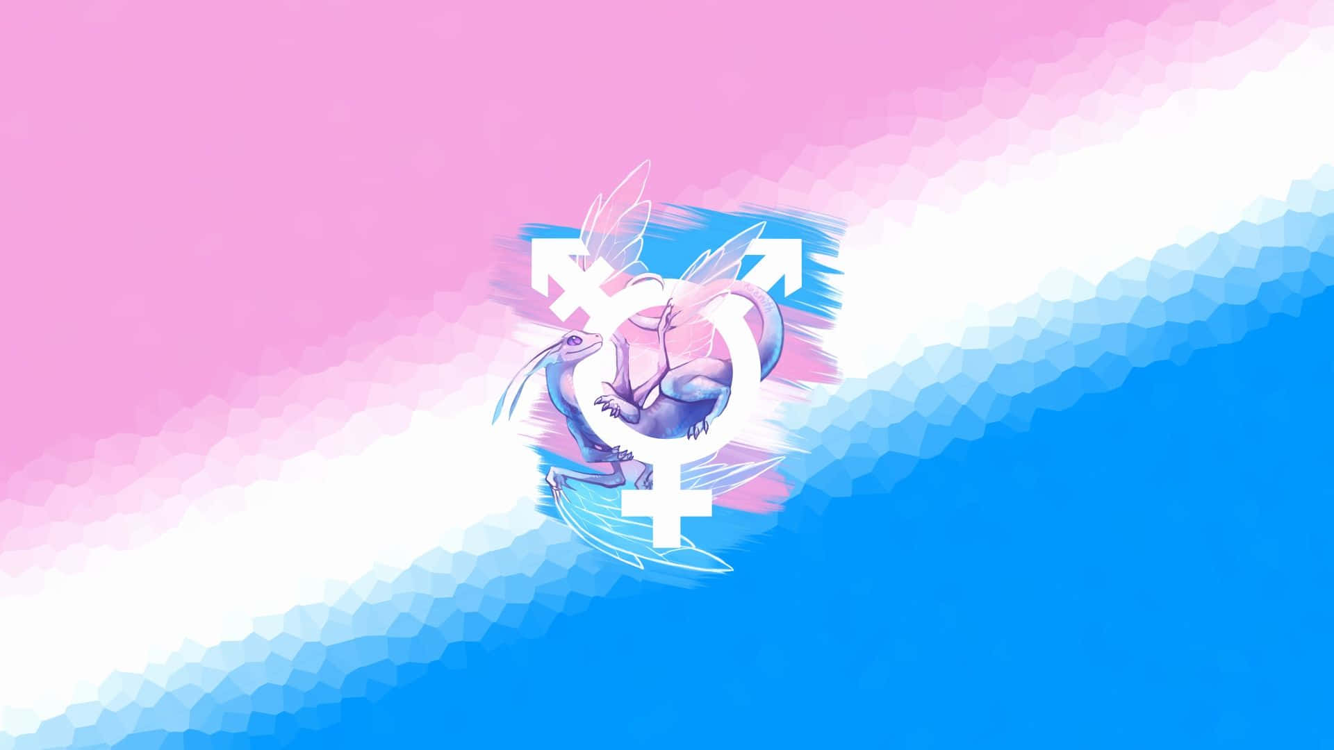 Trans Symbol With A Dragon Background