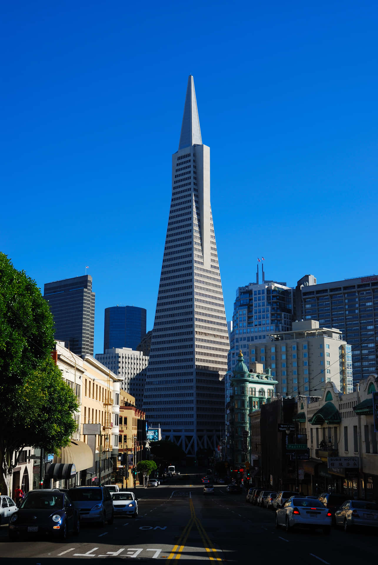 Transamerica Pyramid At The Center Of The Road