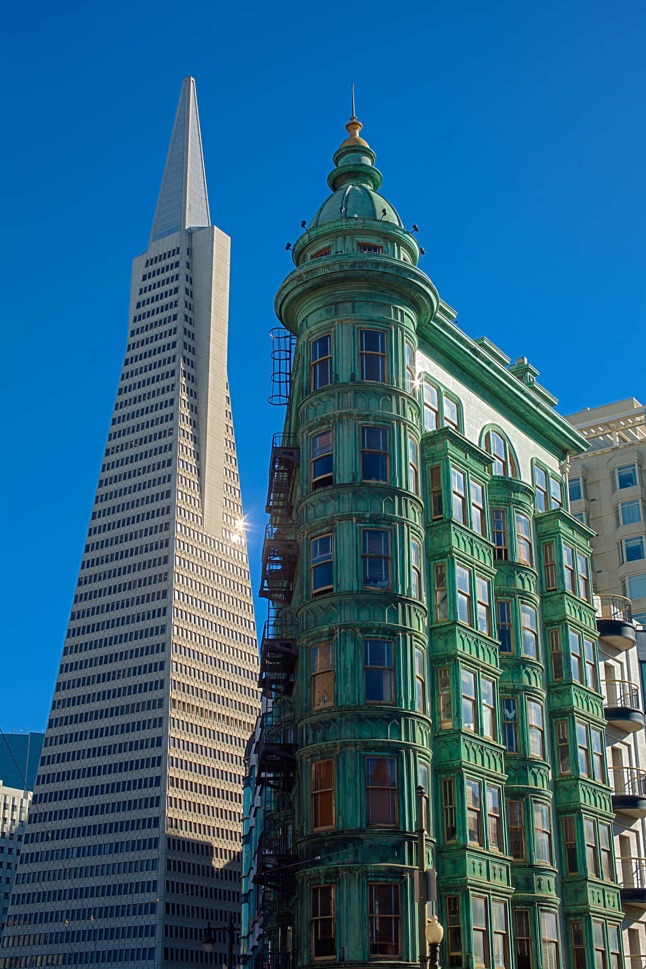 Transamerica Pyramid In San Francisco