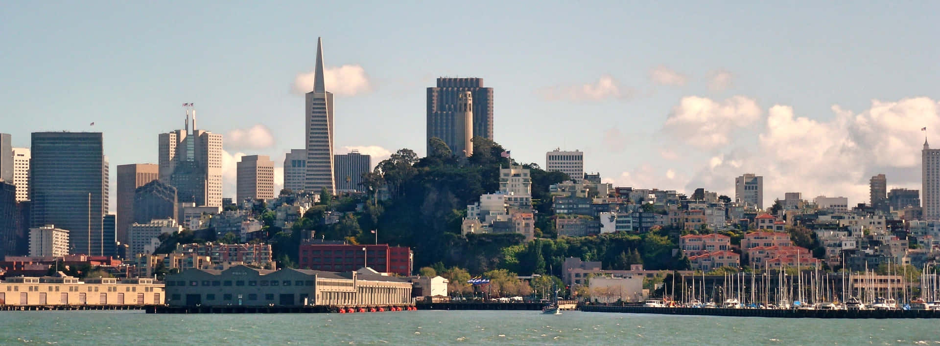 Transamerica Pyramid On A Sunny Day Background