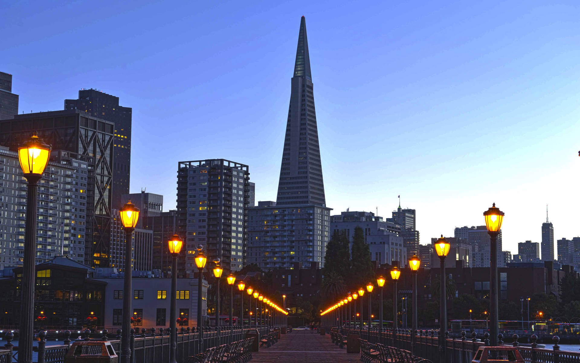 Transamerica Pyramid San Francisco Photography Background