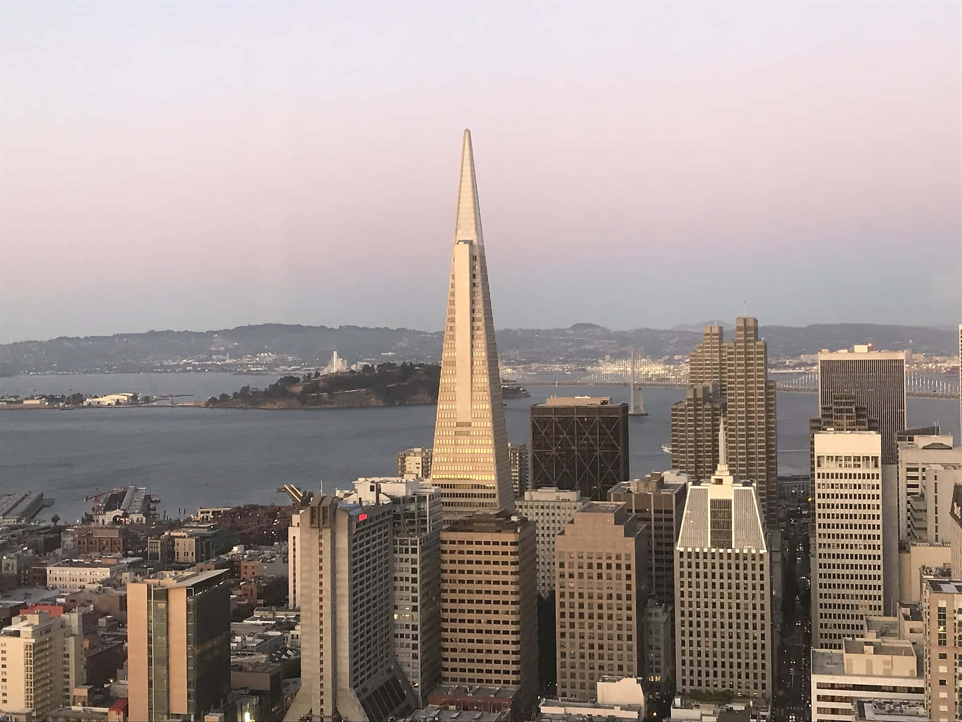 Transamerica Pyramid Standing Out