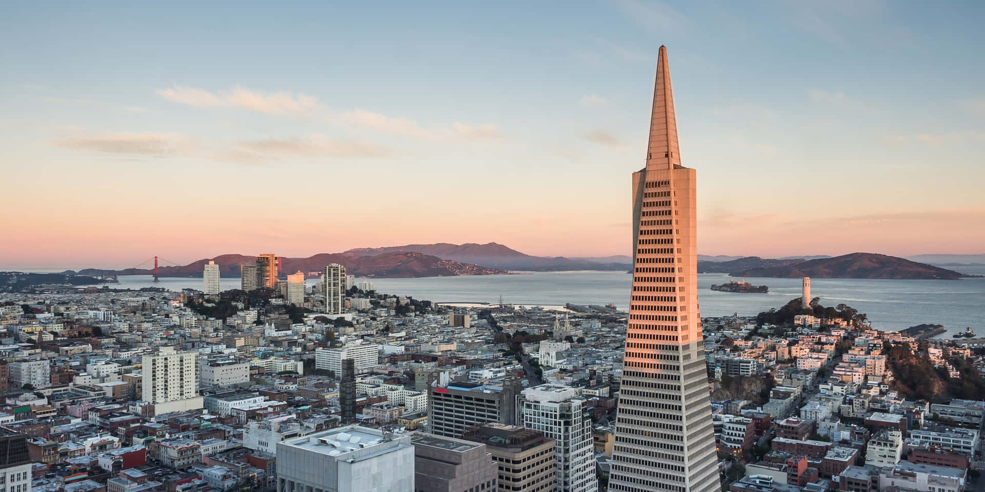 Transamerica Pyramid Standing Out Proudly Background