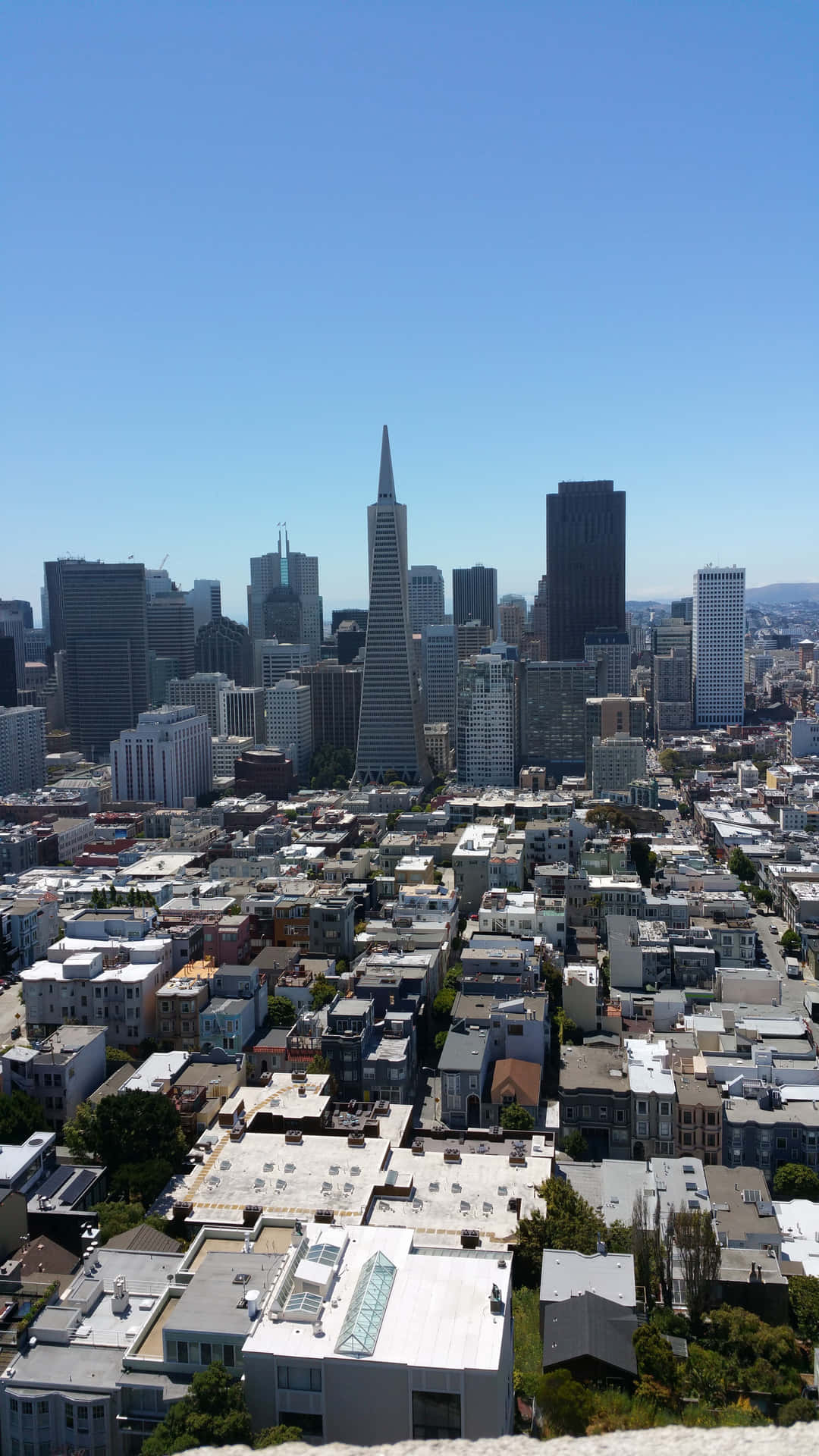 Transamerica Pyramid Stands Out Against Other Buildings