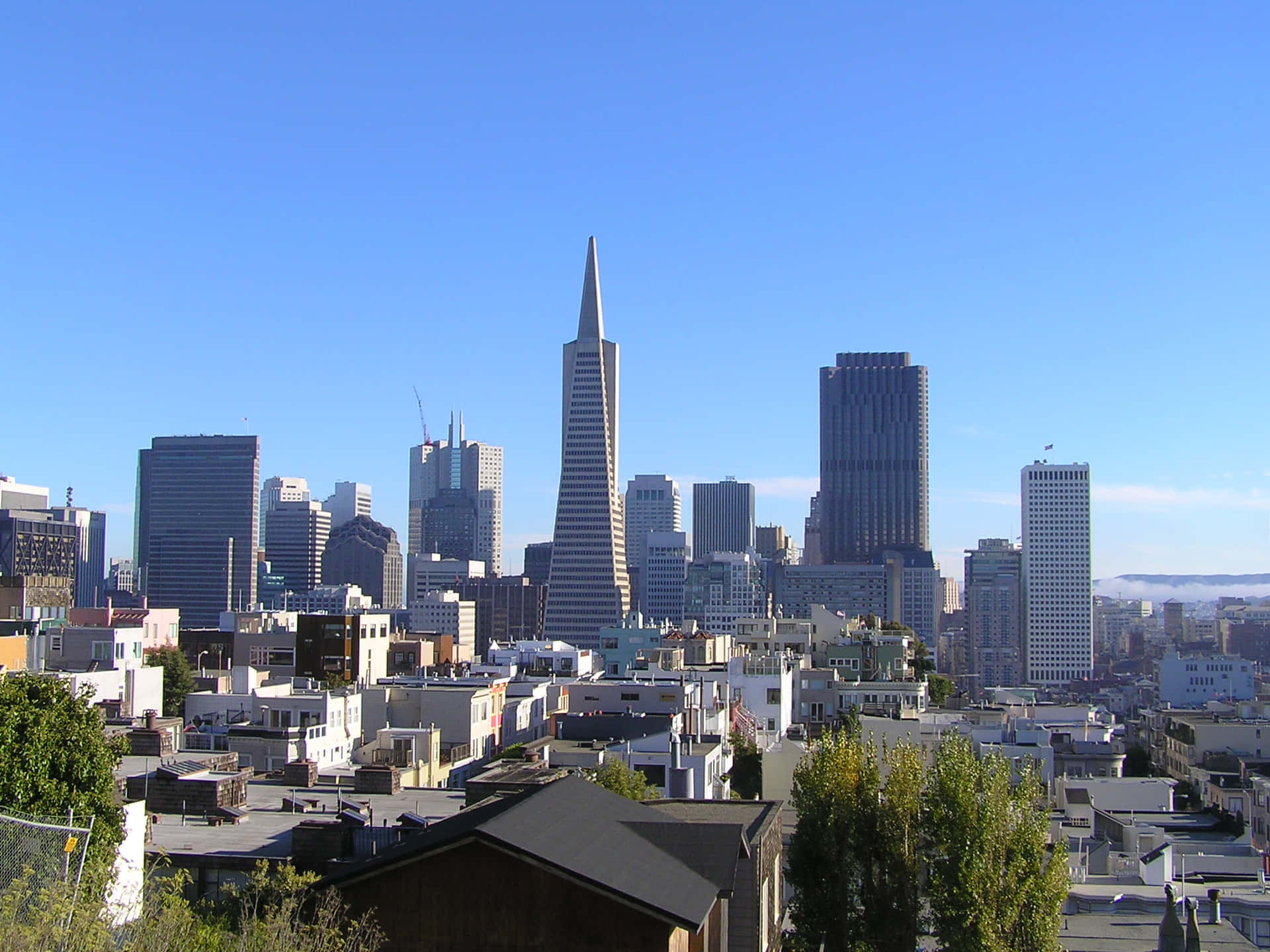 Transamerica Pyramid Stands Out Brilliantly Background
