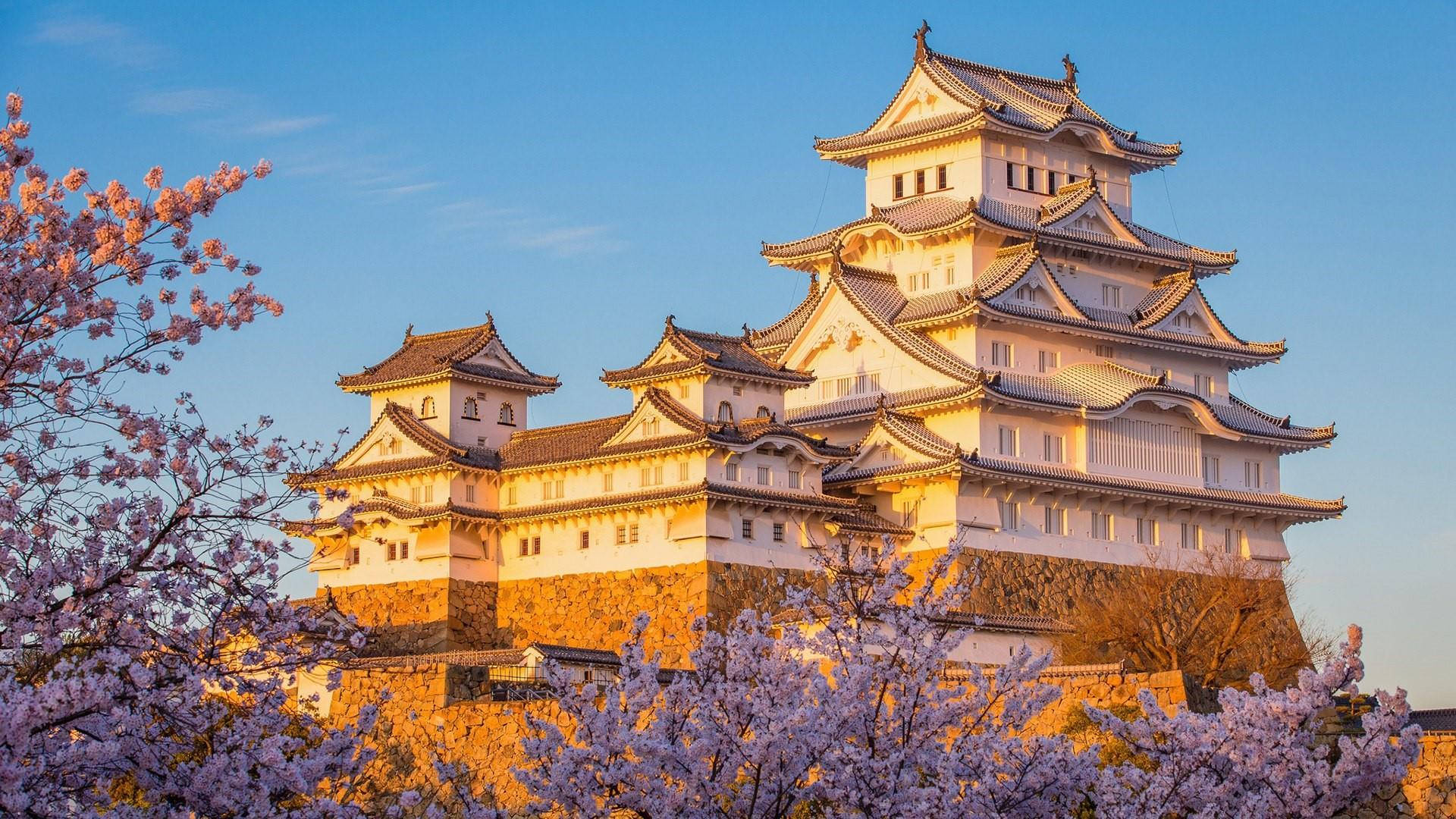 Transcendent Osaka Castle Background