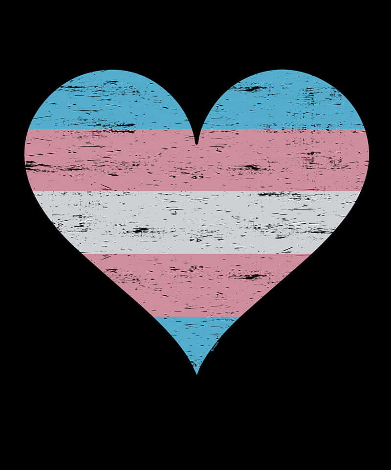 Transgender Flag Heart Vector Illustration Background