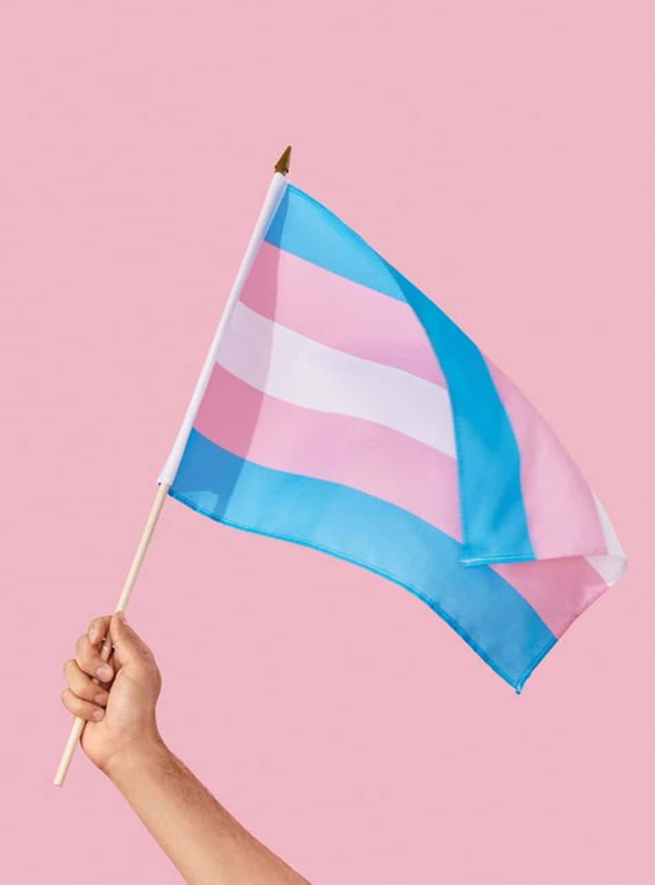 Transgender Flag Held Up High Trans Phone