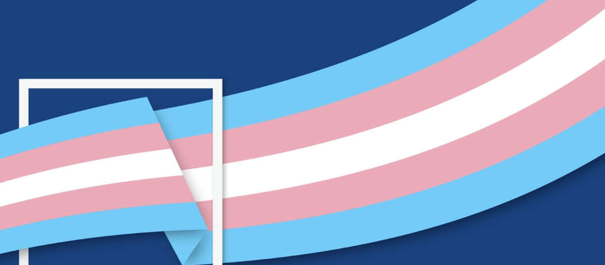 Transgender Flag On A Blue Background Background