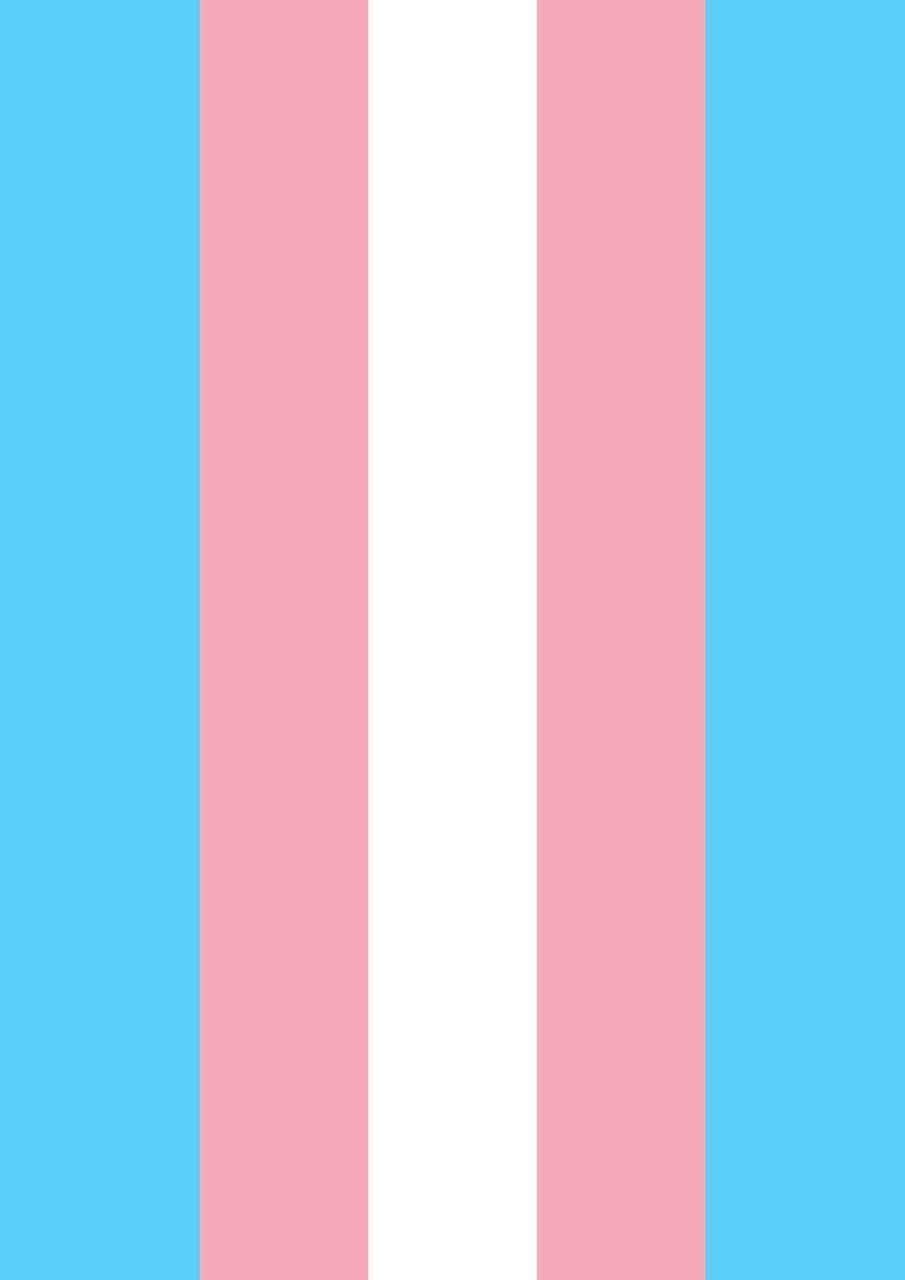 Transgender Flag With A Blue And White Background Background