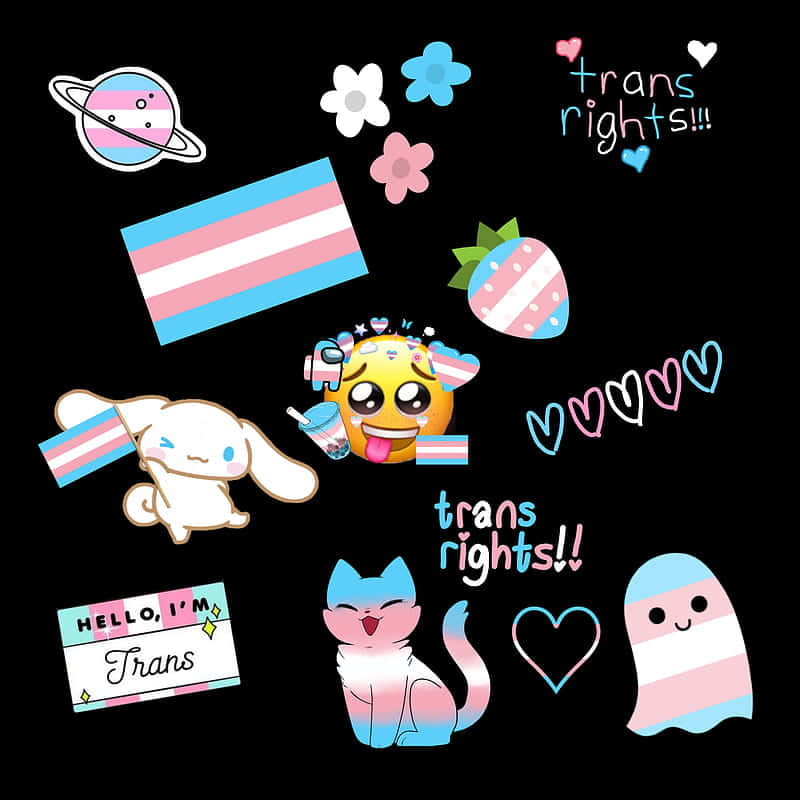 Transgender Stickers By Sassy Sassy Background