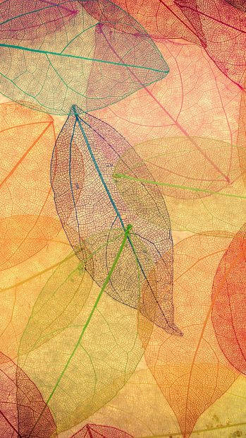 Transparent Leaves Art Iphone Background