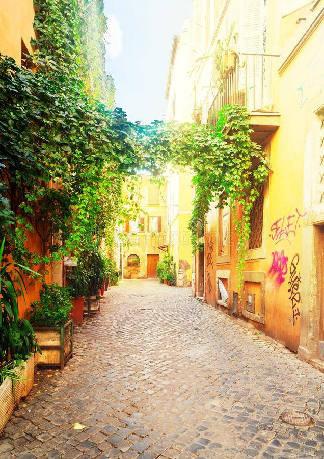 Trastevere Street In Rome Background