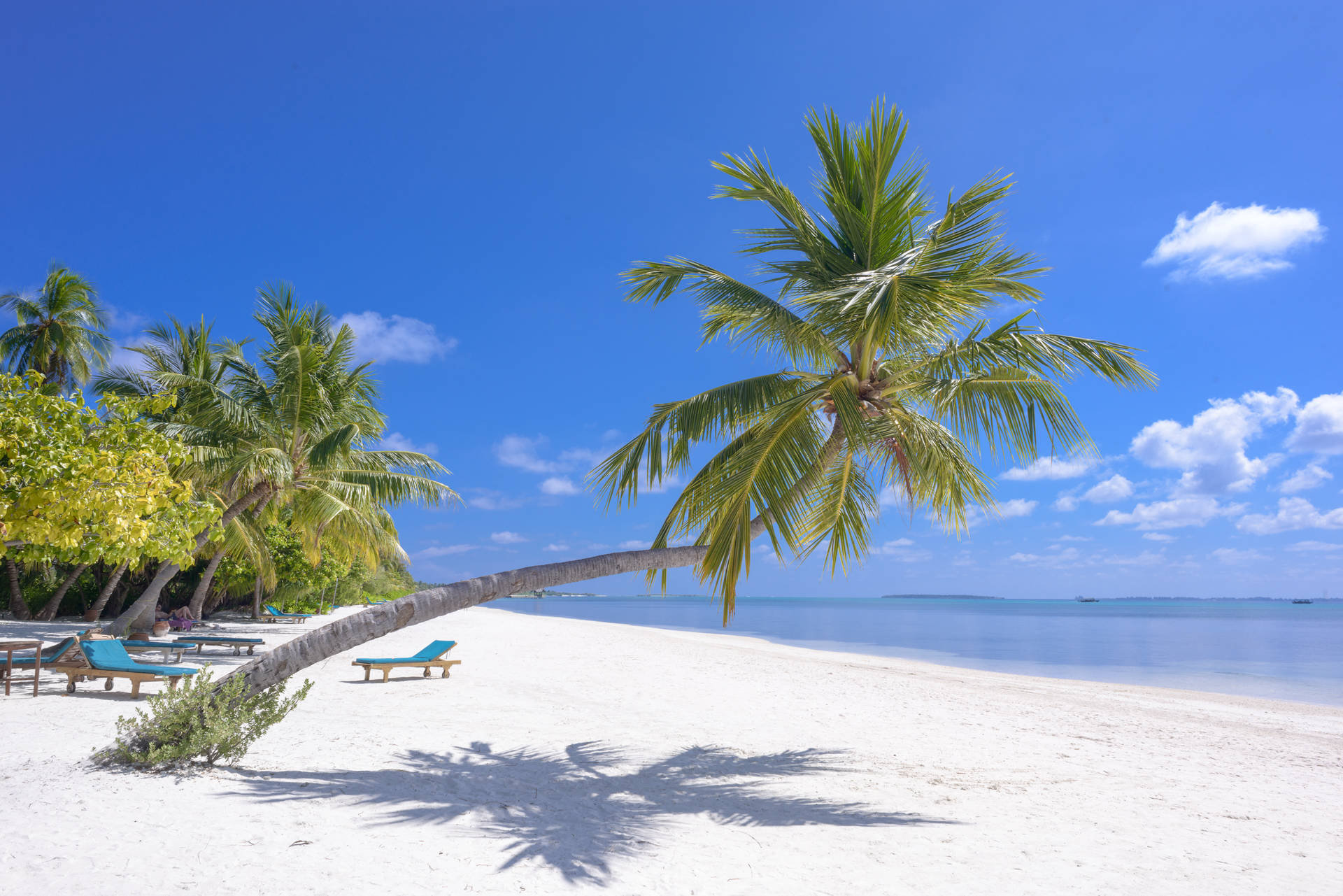 Travel 4k White Sand Background