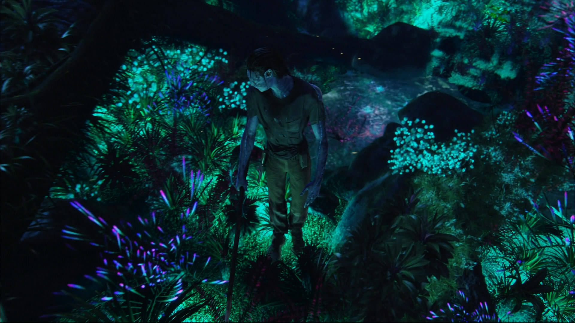 Travel To The Magical World Of Pandora With Avatar. Background