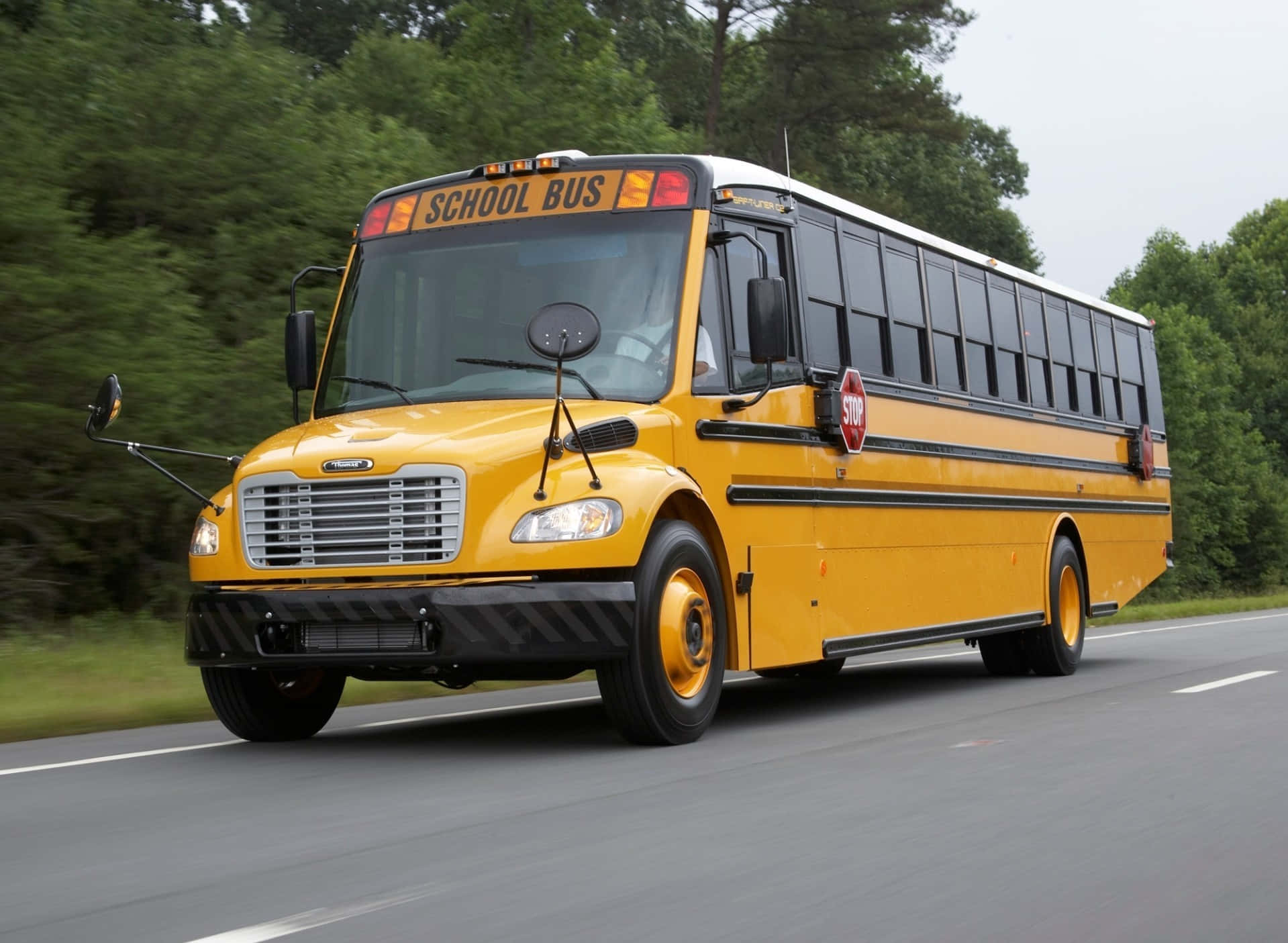 Traveling School Bus Across Road With Trees Background