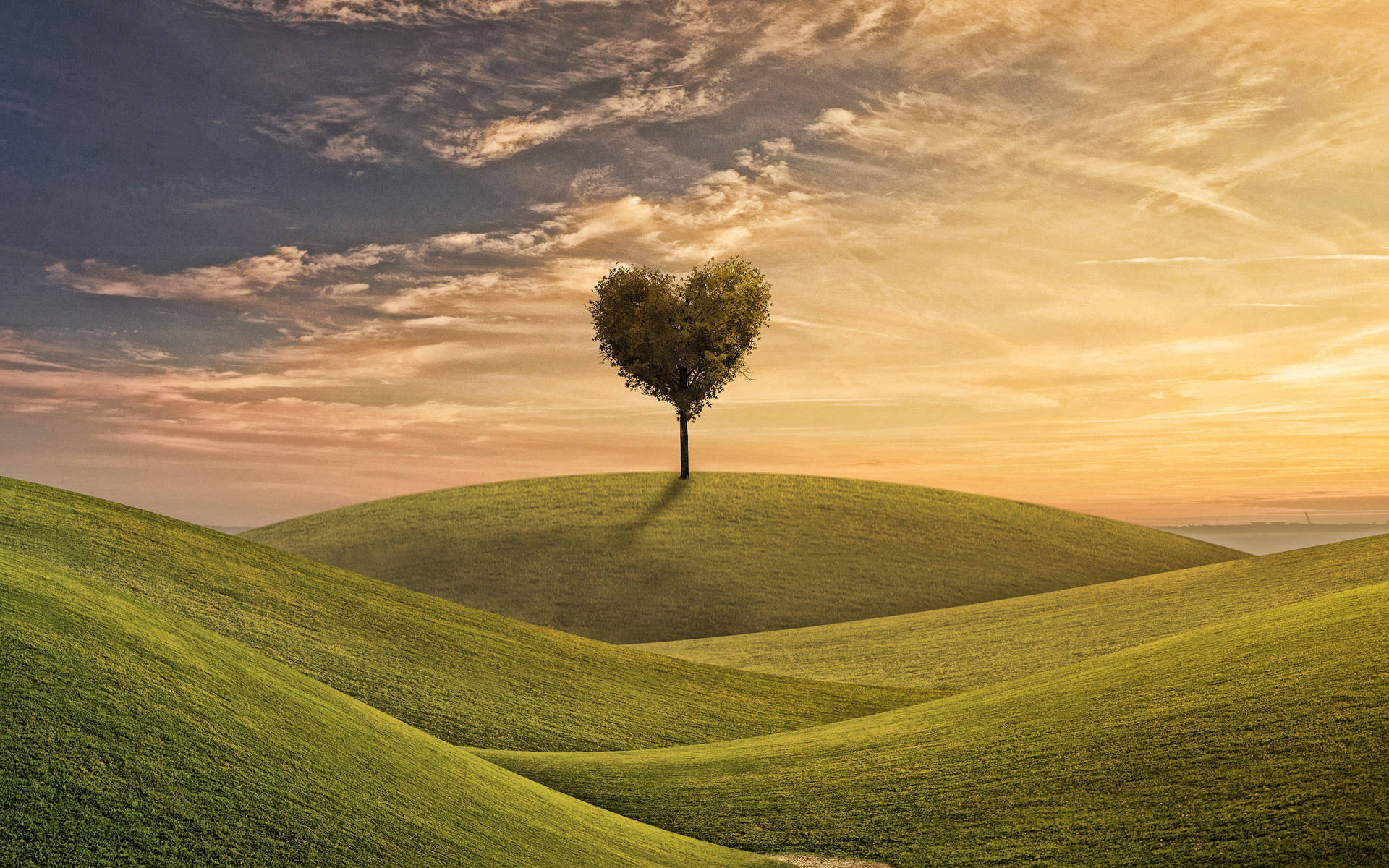 Tree And Hills Love Nature Background