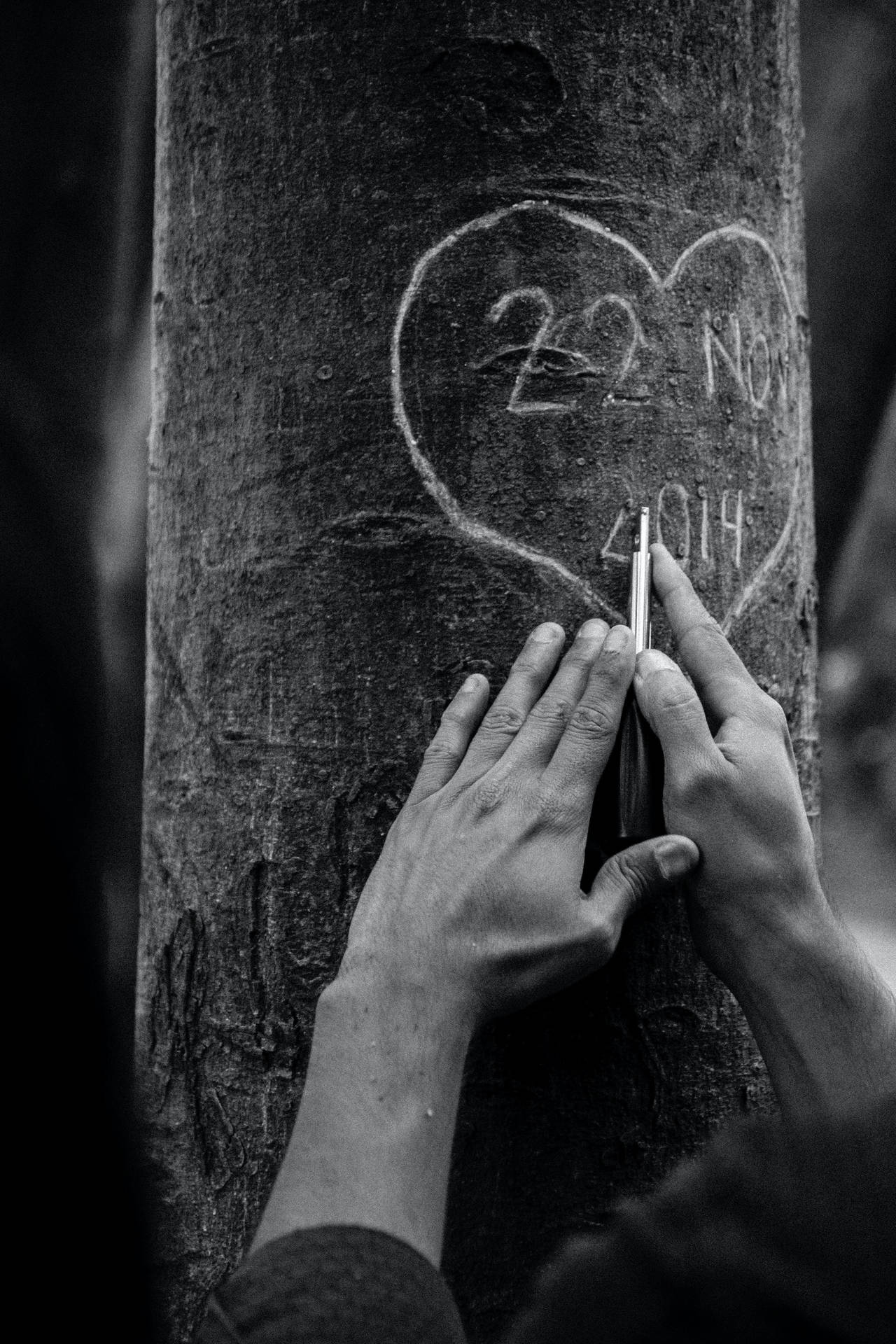 Tree Carving Love Black And White Background