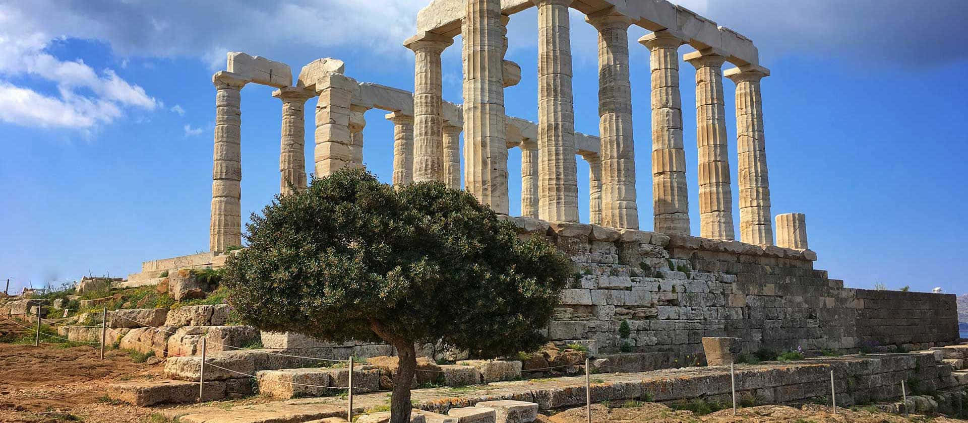 Tree Growing Outside Temple Sounion Background
