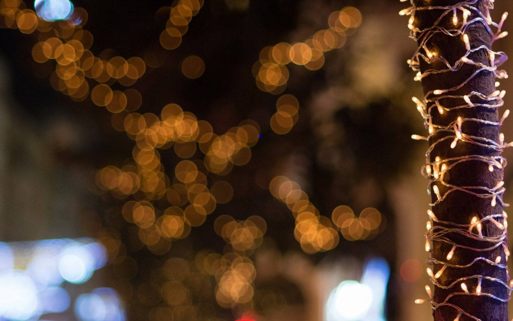Tree In Christmas Lights Bokeh Background
