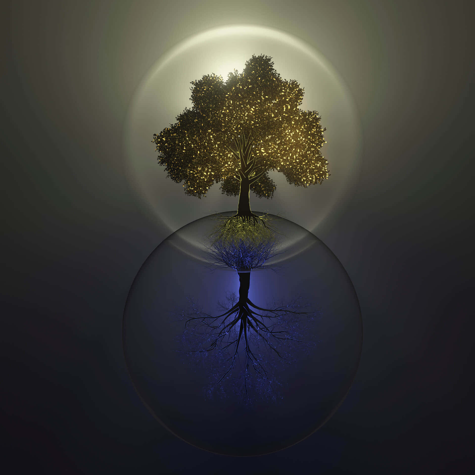 Tree Of Life With Reflected Image