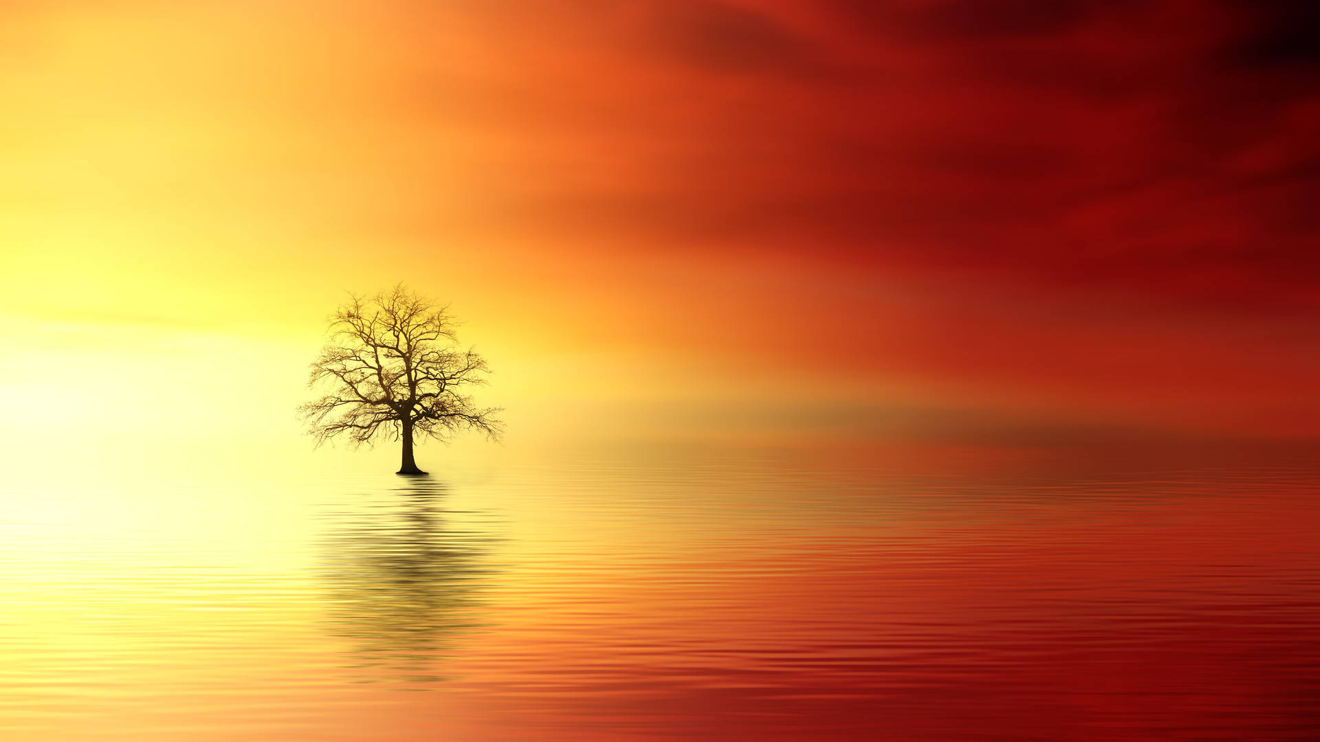 Tree Painting With Orange And Yellow Sunset Background