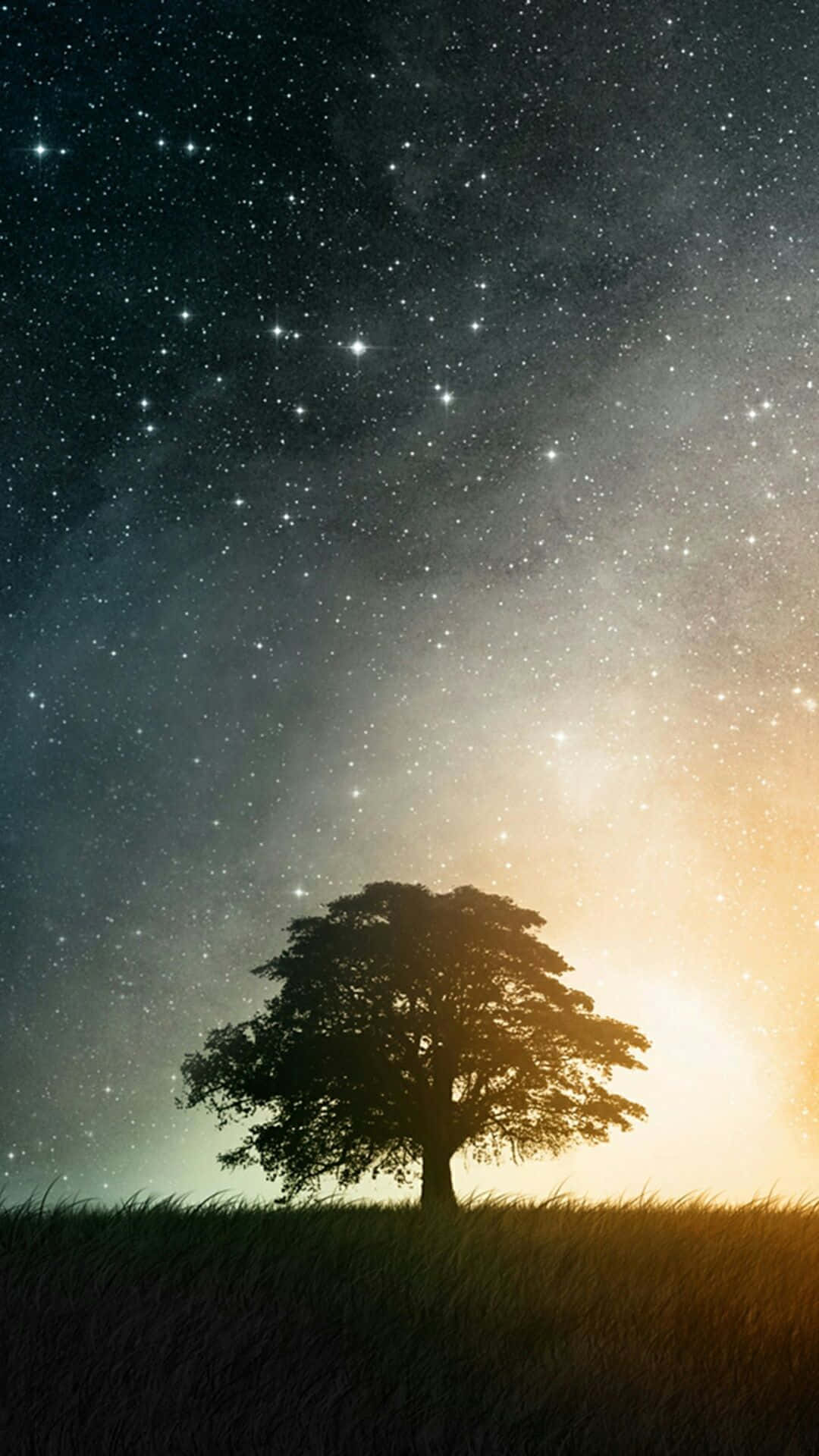 Tree Phone Starry Night Background